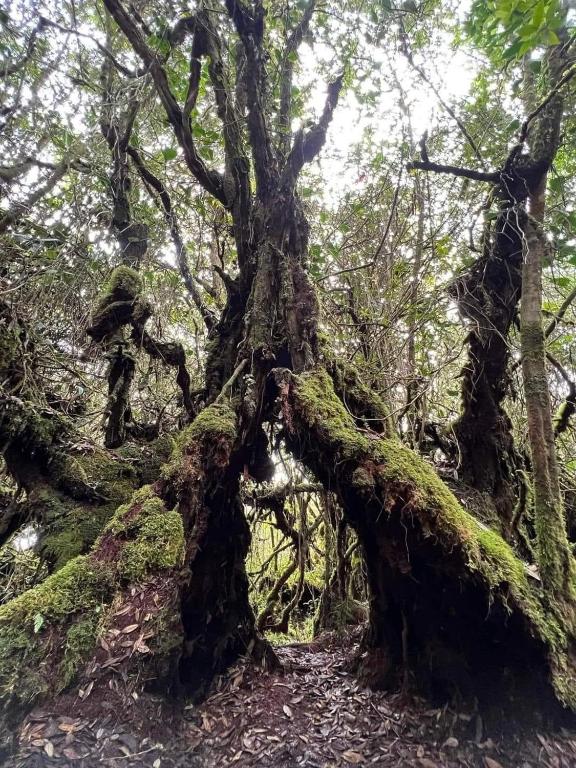 Suasana persekitaran