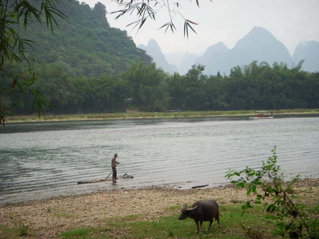Surrounding environment