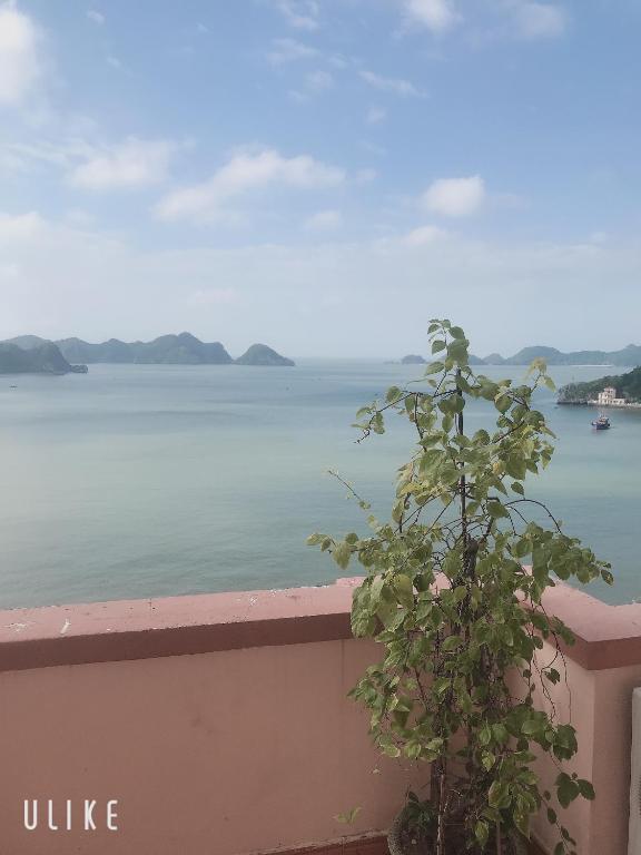 Sea Balcony Hotel photo