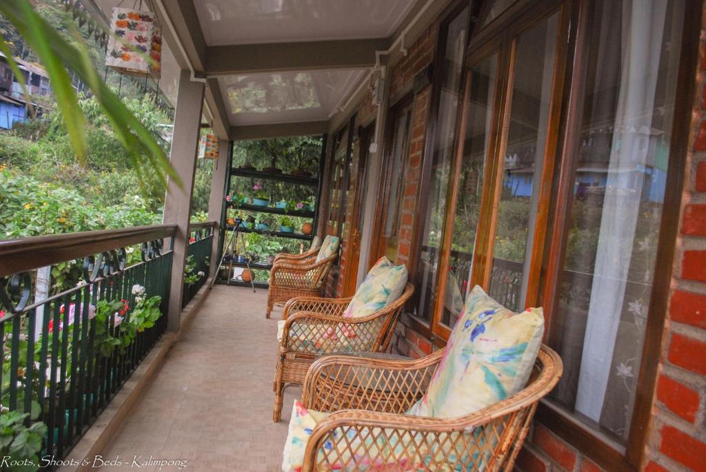 Roots Shoots & Beds photo