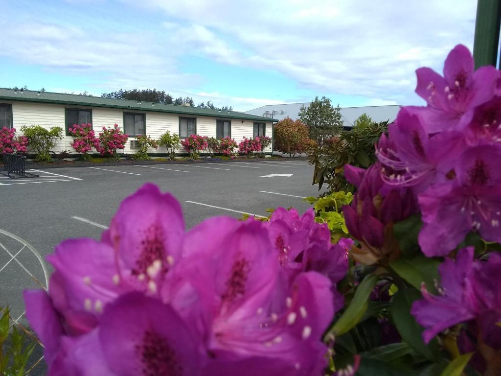 The Orca Inn — Hotel in Friday Harbor (WA)