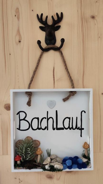 BachLauf im Happy Allgäu - 5