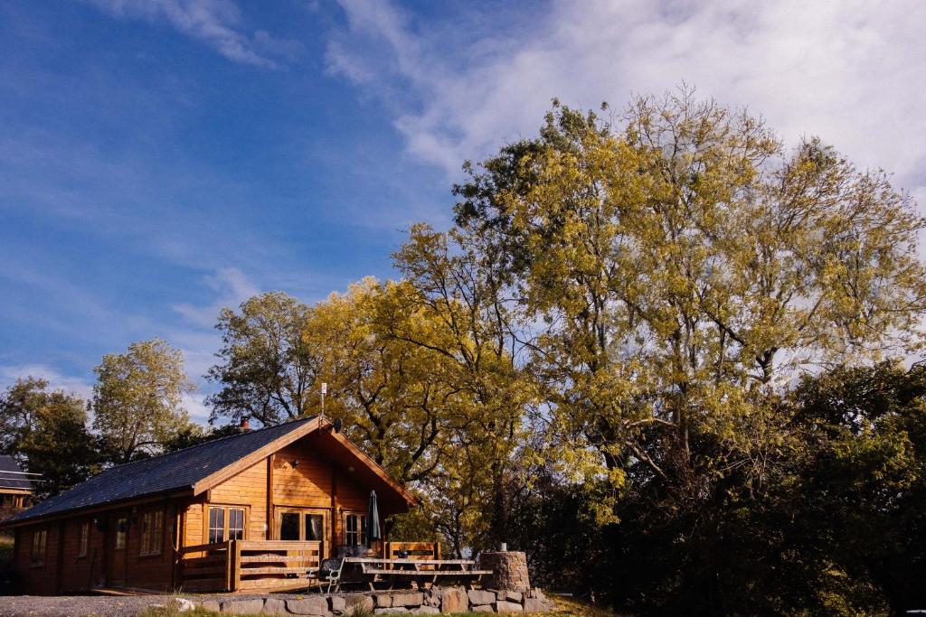 Bothy Cabin -Log cabin in wales - with hot tub, Newtown