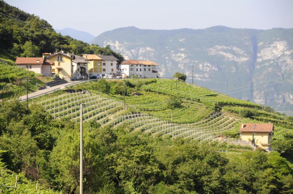 Agriturismo Eredi di Cobelli Aldo - 3