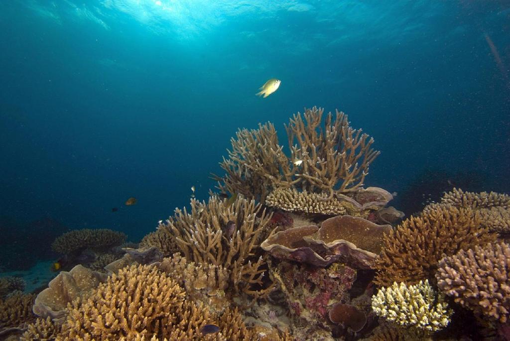 Sport en activiteiten