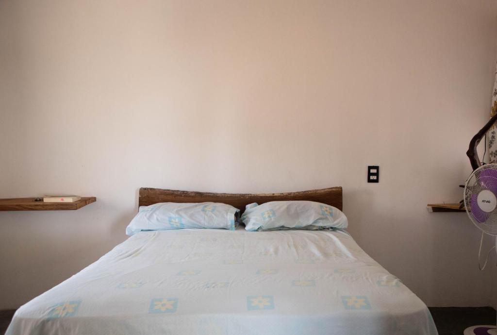 Casa Conejo - 5
