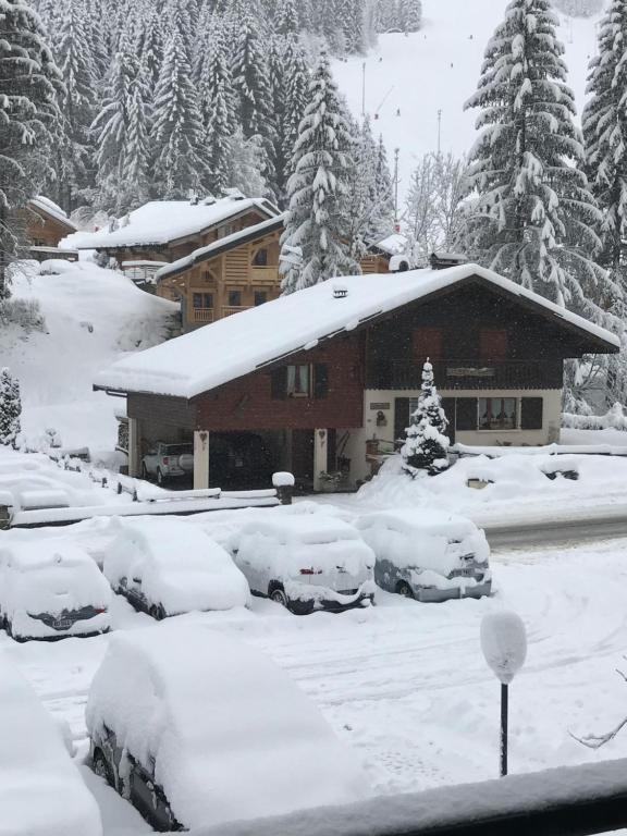 La montagne « un coin d’oxygène » - 3