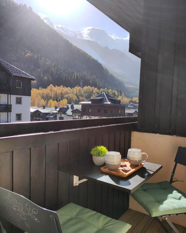 Superbe 2 pièces, centre vue Mont-Blanc avec balcon et parking gratuit - 3