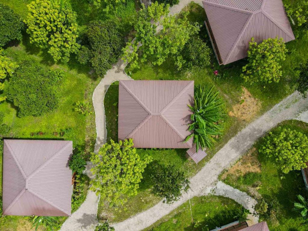 Surrounding environment