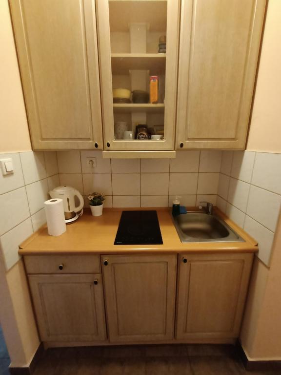 Pokoje pod Swierkiem photo