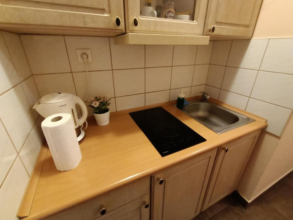 Pokoje pod Swierkiem photo