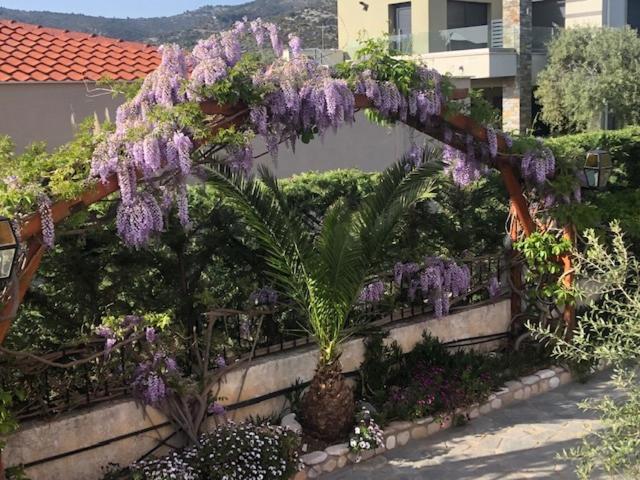 Aegean Villas photo