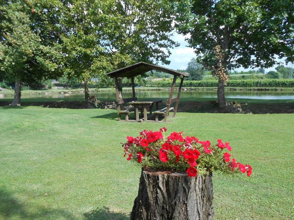 agriturismo ca persiane photo