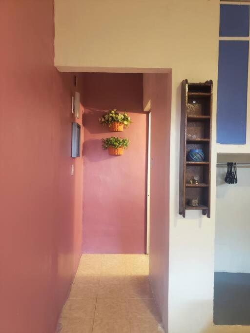 OM Studio - 2