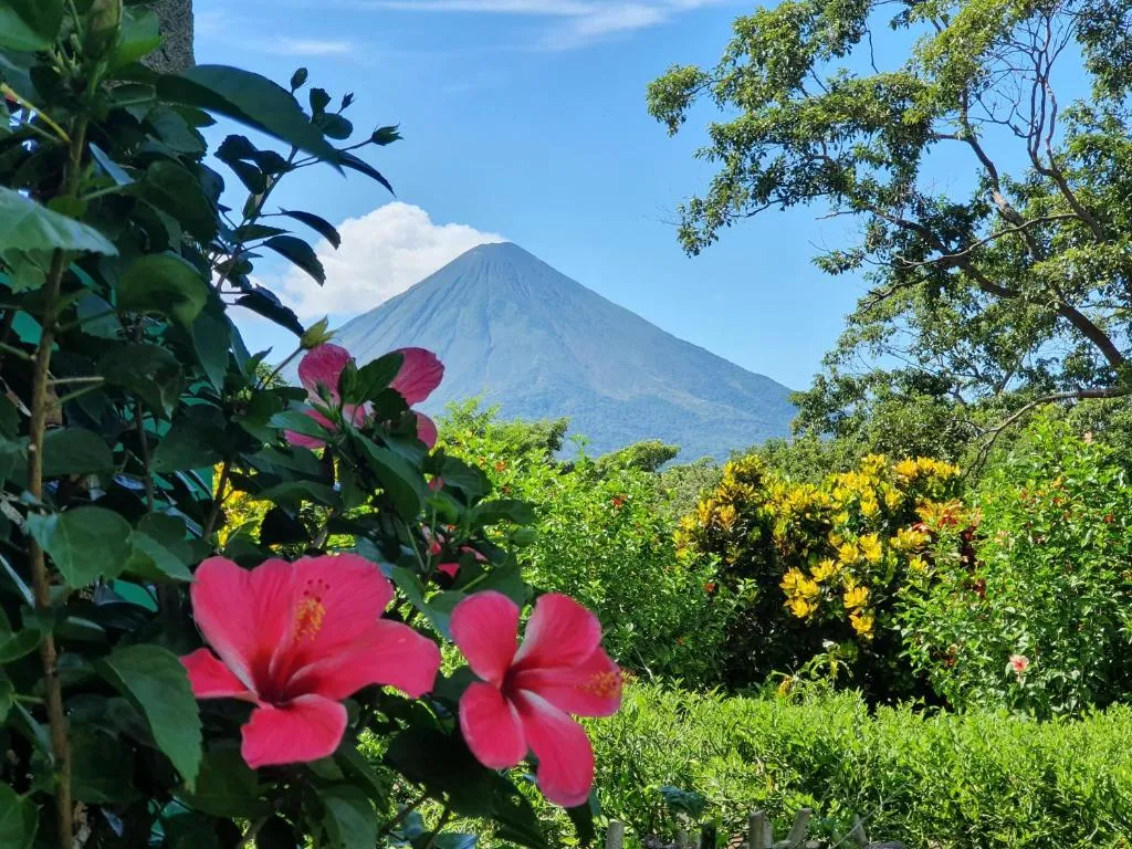 El Encanto Garden Hotel，位于Santa Cruz的酒店
