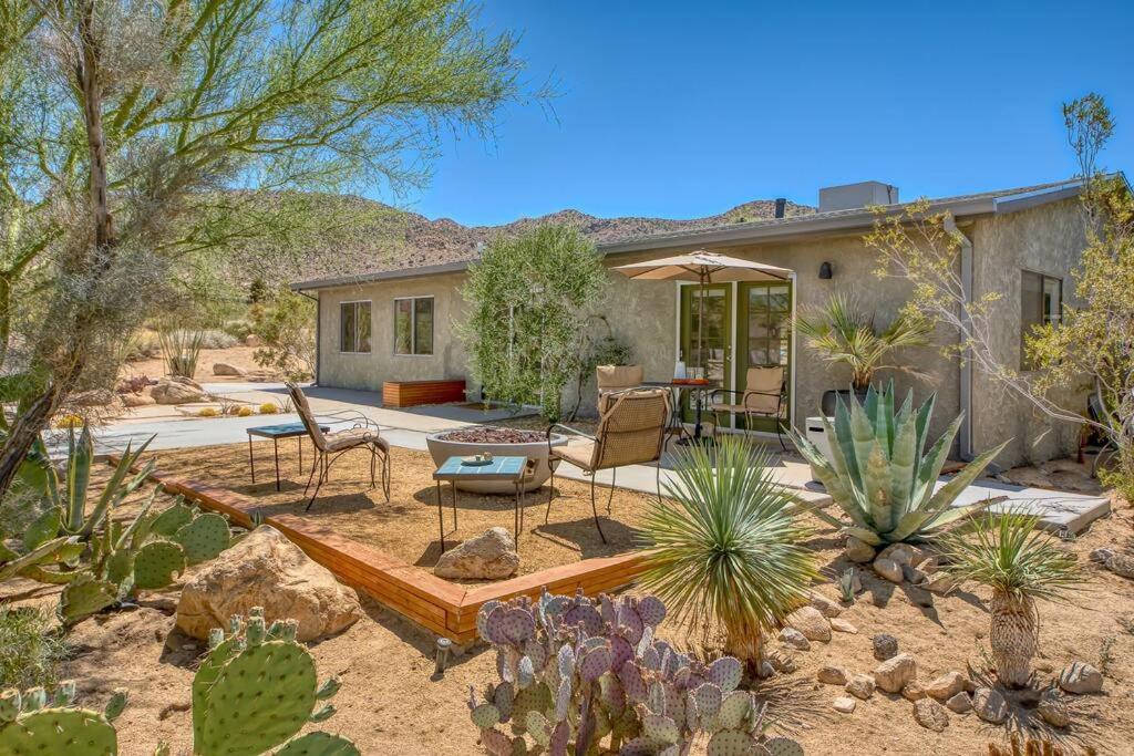 Desert Dusk, Joshua Tree