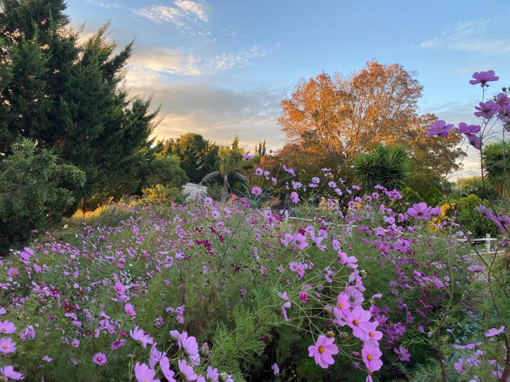 Melbourne Garden Bed and Breakfast photo