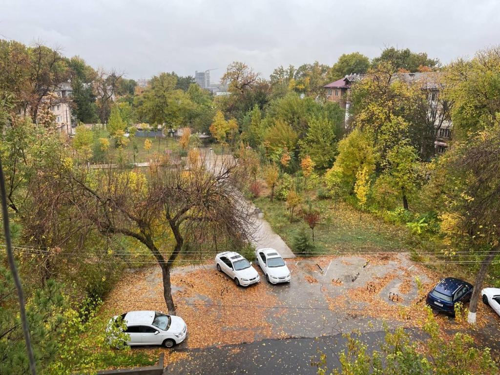 4-room apartment in the center of Tashkent photo