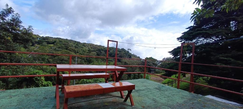 Monteverde Monkey Hostel — Hotel in Monteverde