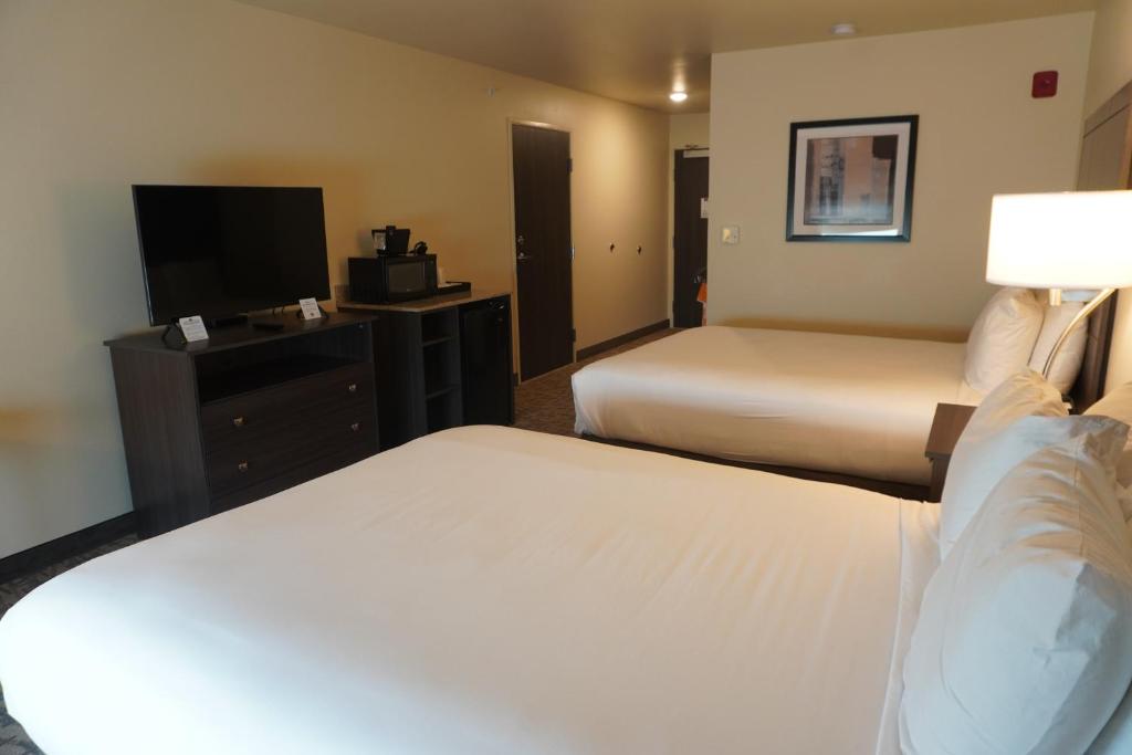 Comfort Inn & Suites photo