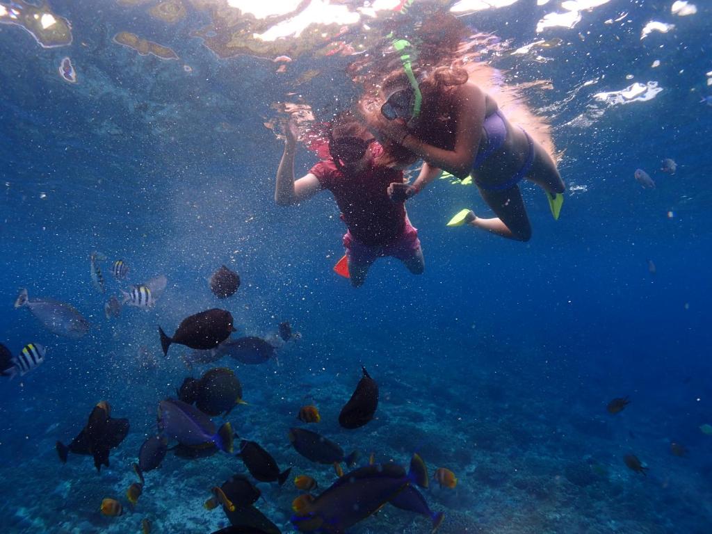Pandan Wangi photo