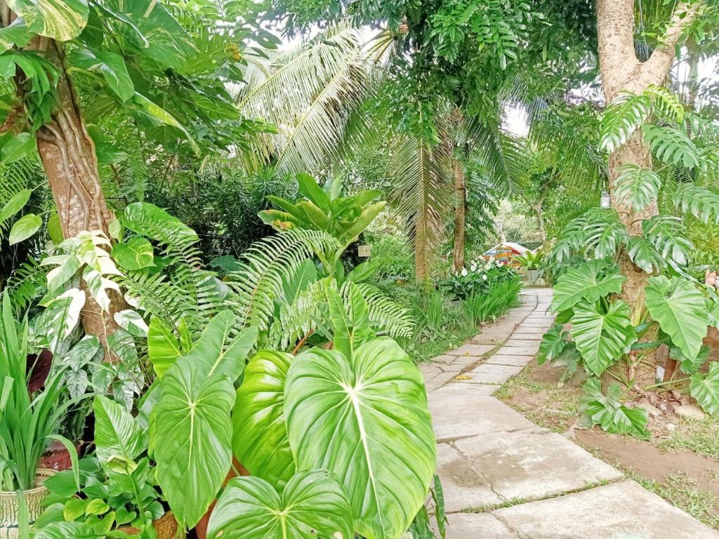 Happy Farm Tien Giang Homestay photo