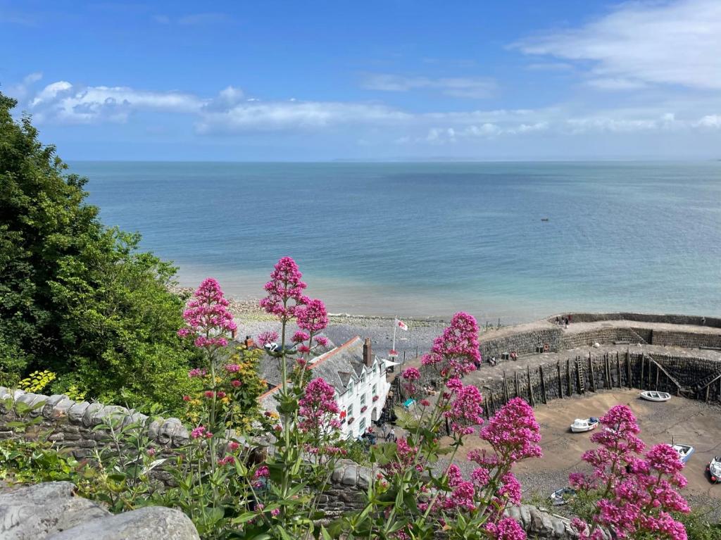 Idyllic Entire Chalet in Bideford Bay Holiday Park near Clovelly photo 7