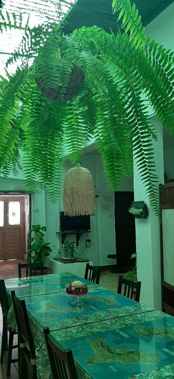 Vivienda Vacacional Sabinosa 전경
