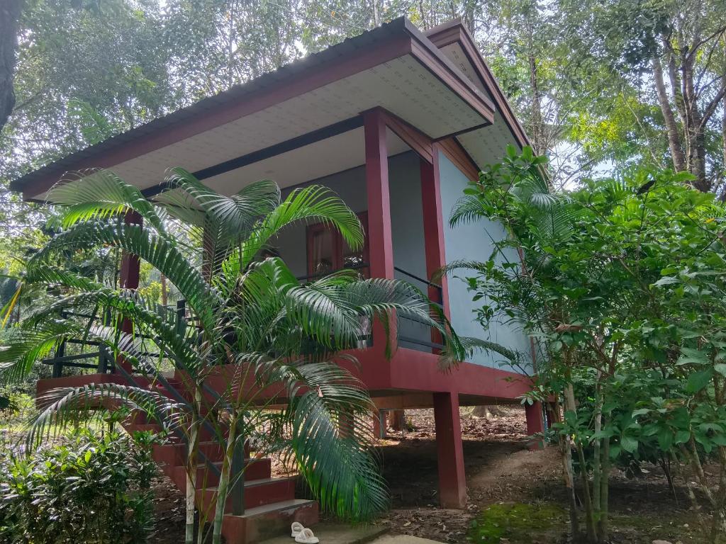 Khao Sok River & Jungle Bungalow photo