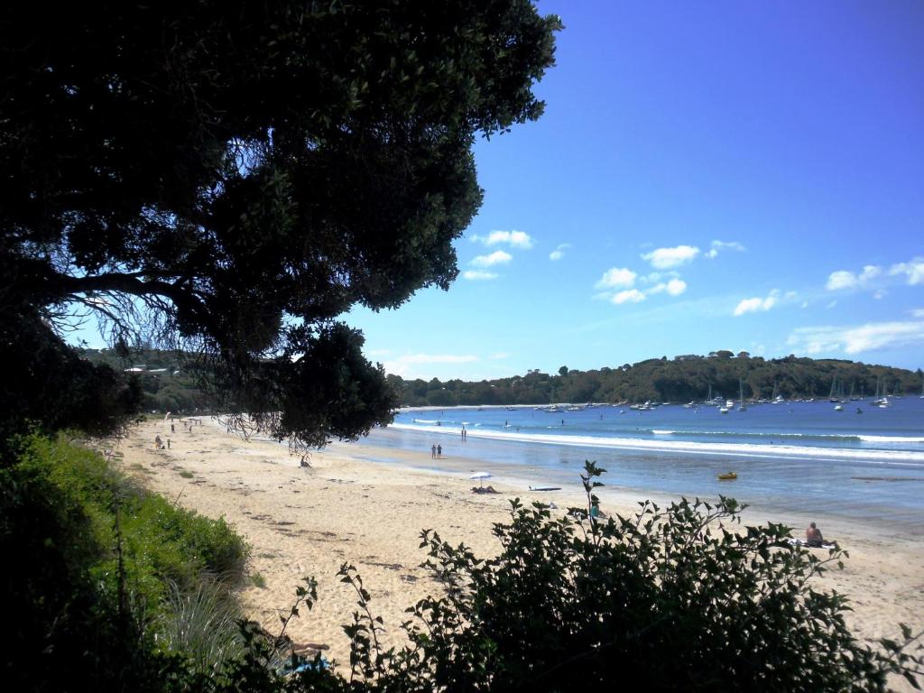 Facilities, Blue Birds in Waiheke Island