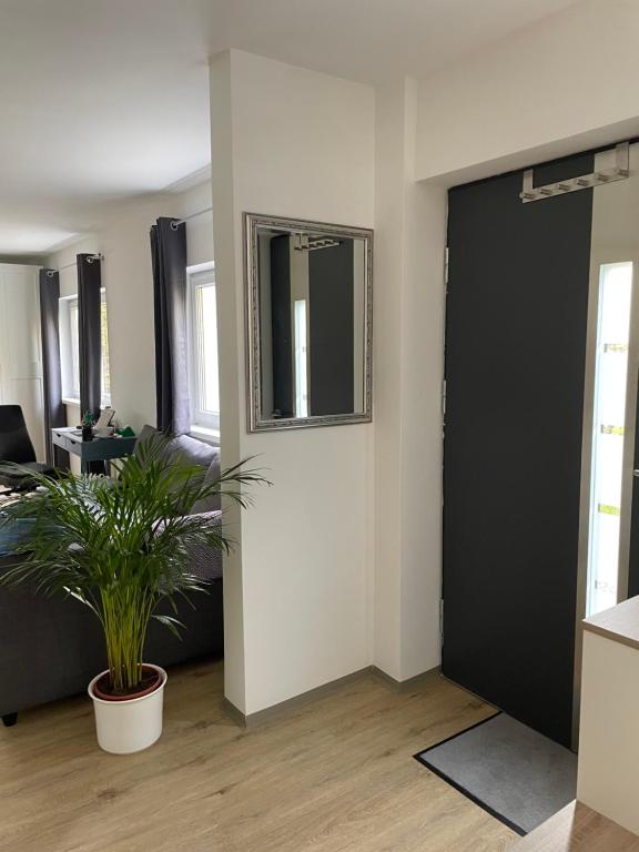 Ruhiges Appartement im Grünen - 3