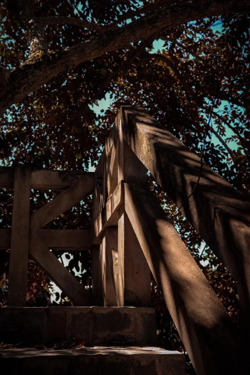 Y.O Inn photo