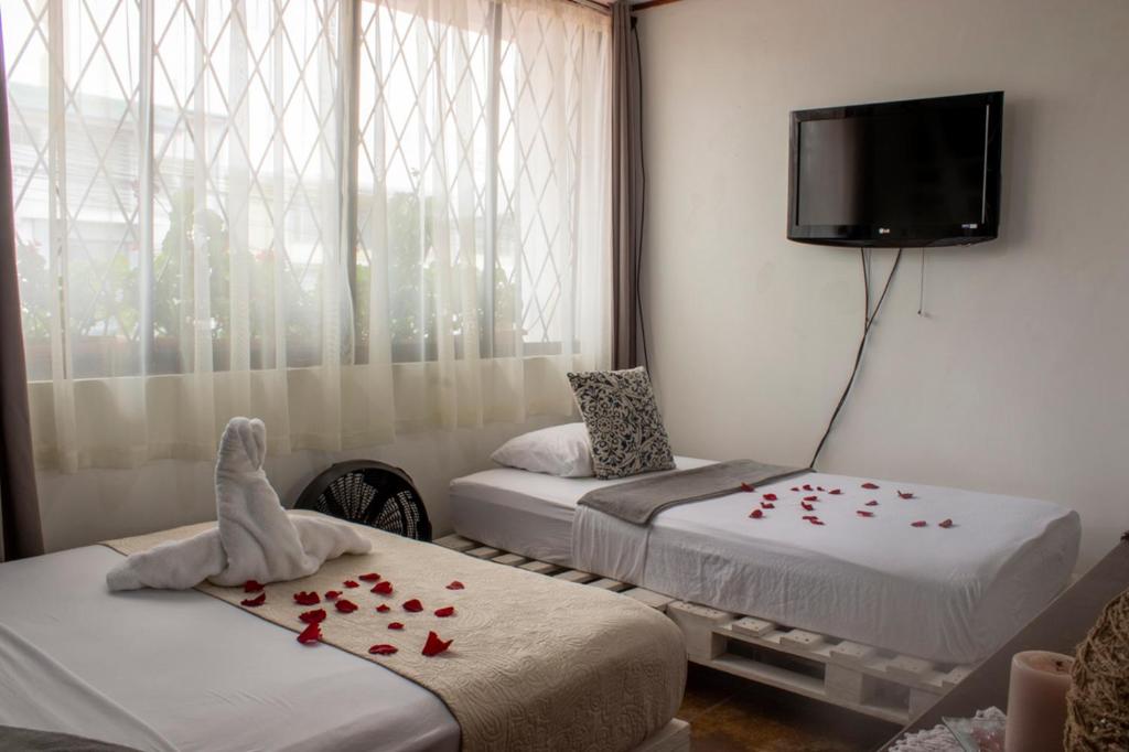 Eco Stay Hostel photo