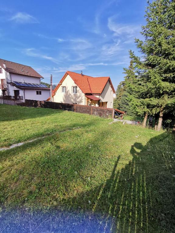 Cabana Alina, Păltiniş