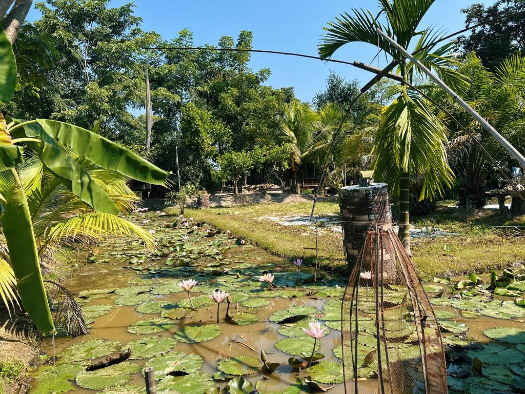 Sukhothai City Resort photo