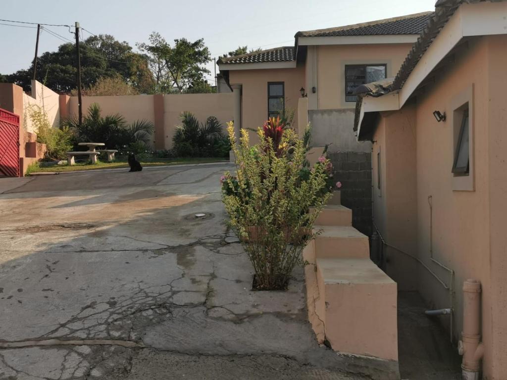 Joyous Guest House photo