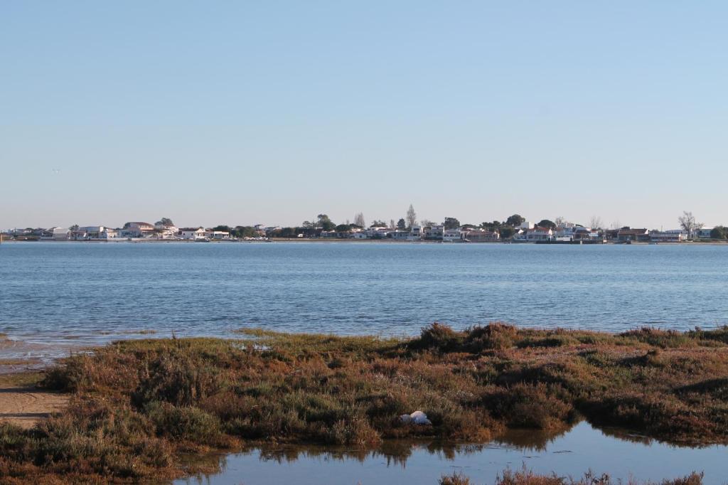 Surrounding environment