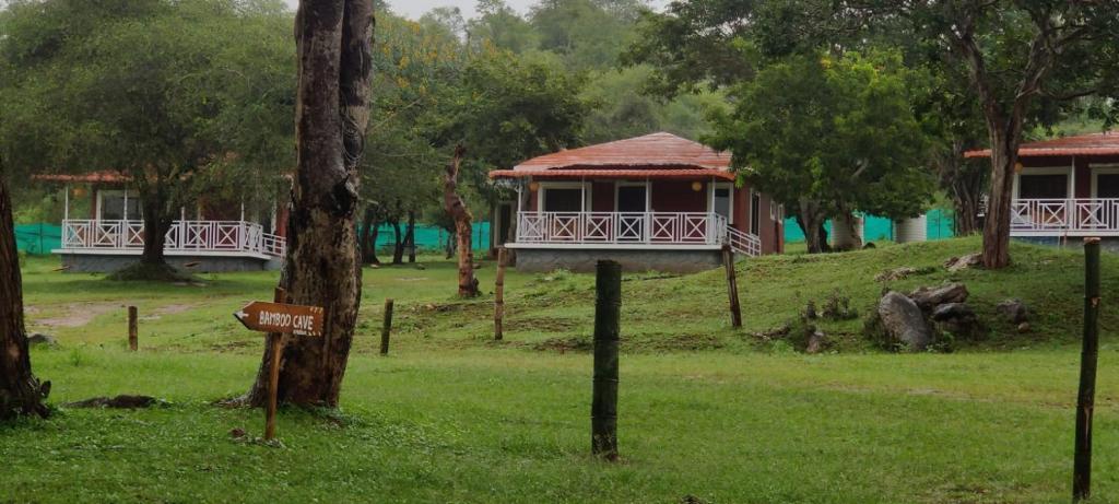 The Wild Fo'rest Resorts photo