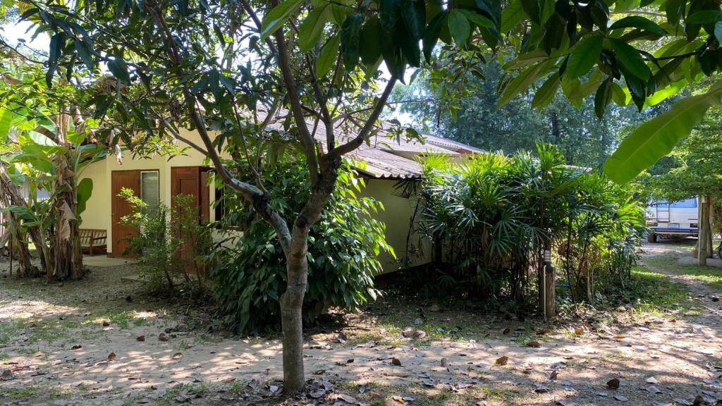 Brown House Chiangdao photo