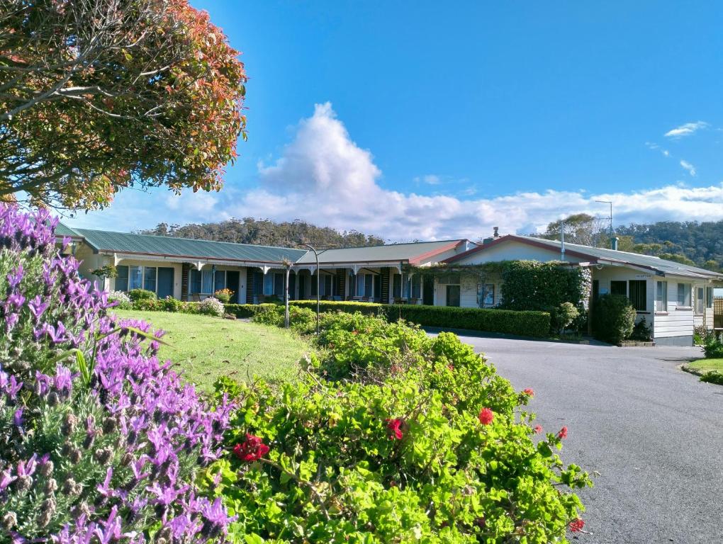Wintersun Gardens Motel photo