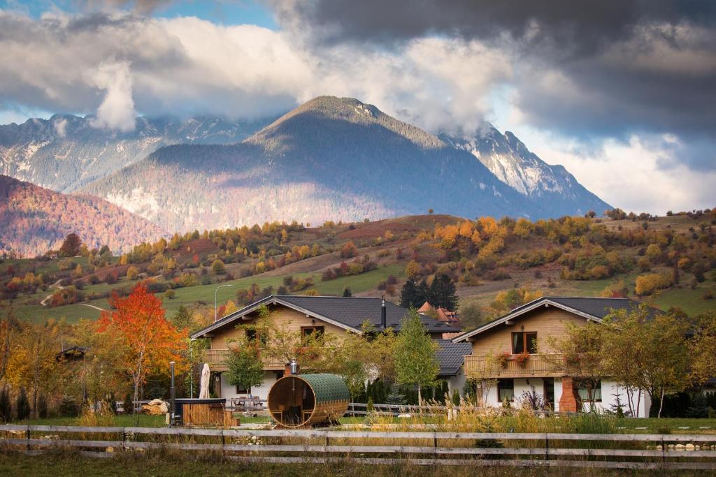 Green Resort Bran photo