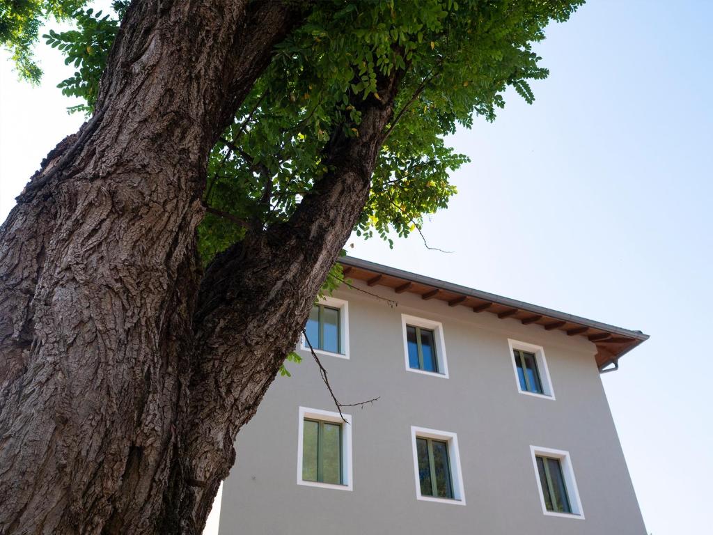 Innesti Rooms&Apartments - Le camere - 5