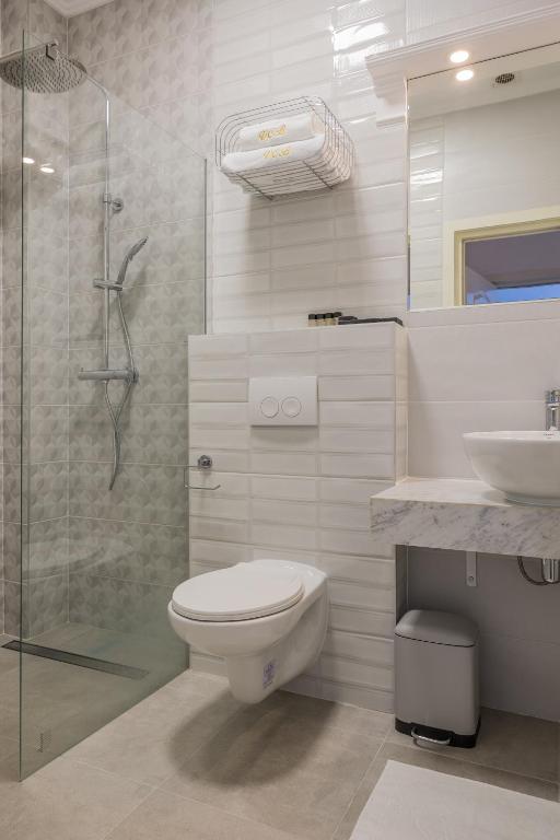 Hotel Vila Central Boutique Satu Mare photo