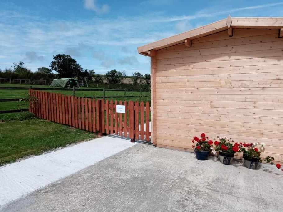 Cosy Cabin for Two, Truro photo 7