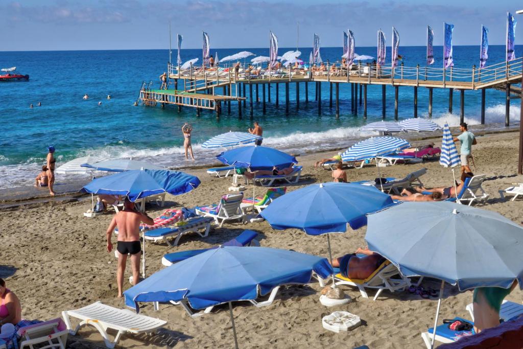 Blue Fish Hotel All Inclusive — Beach in Konakli