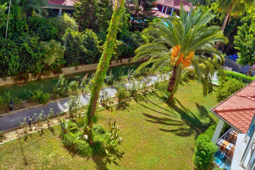 Blue Fish Hotel All Inclusive — Hotel building in Konakli