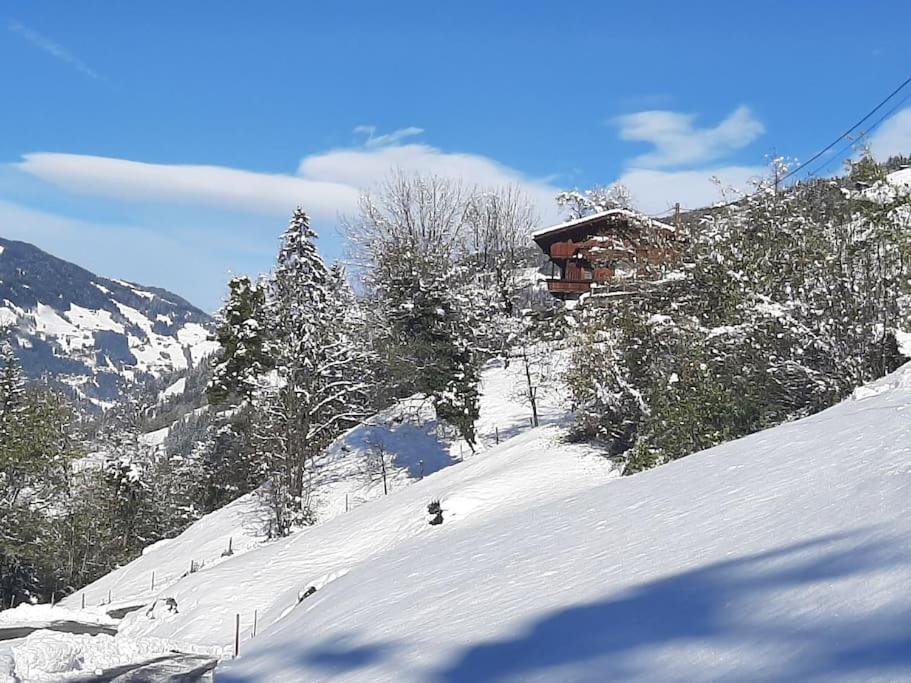 Alpine cottage with exceptional view - 3