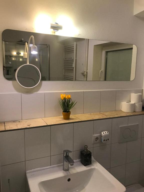 stayinhostel photo