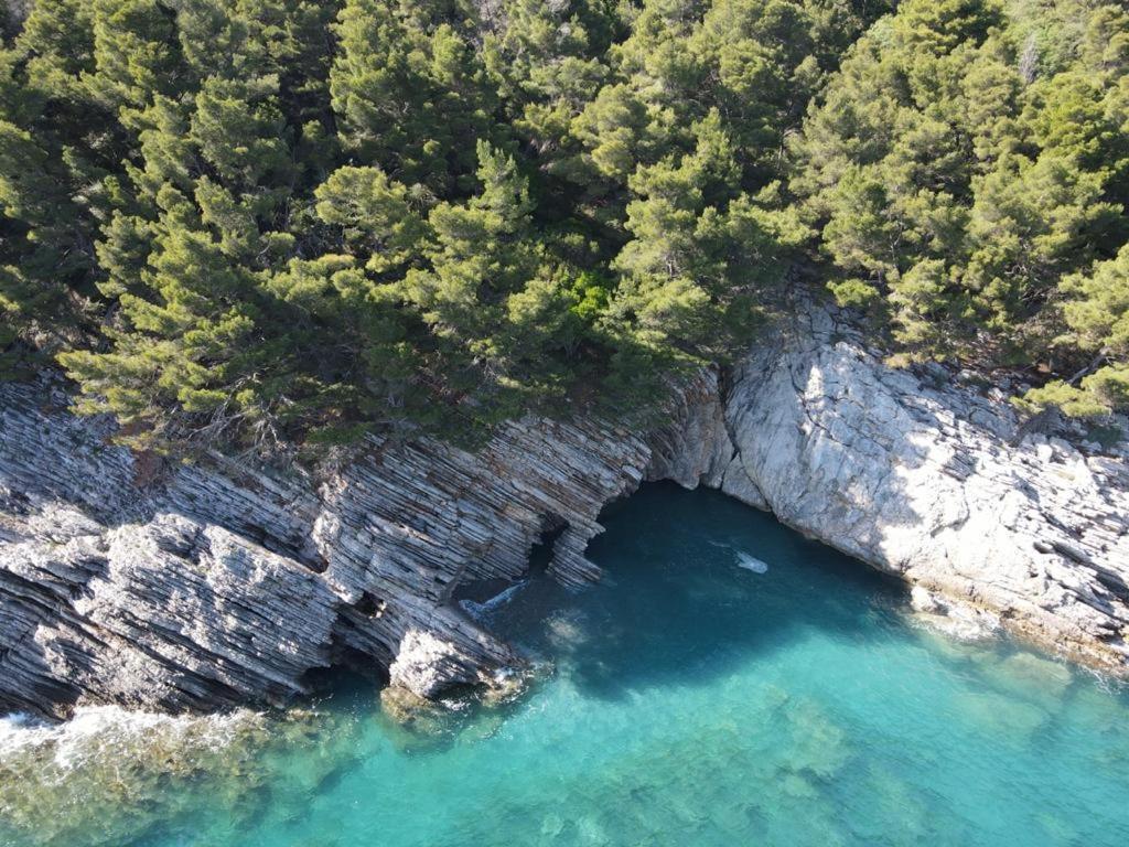 Guest House Jadran Pol photo