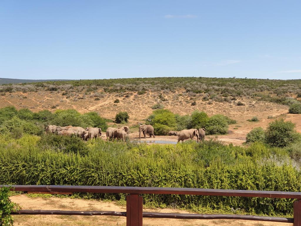 アクティビティ